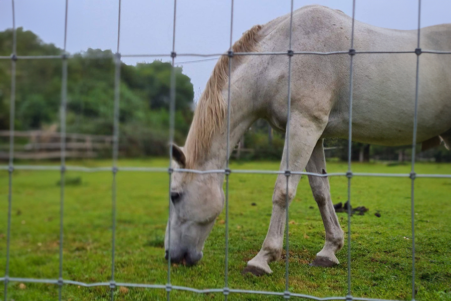 Landwirtschaftliche Zäune