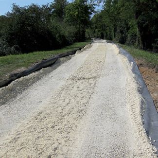 Root Protection For Path