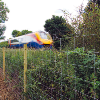 Wire Fencing Roadside and Security