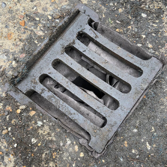 Biodegradable Drain Guard