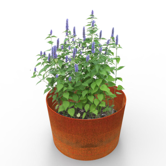 Bottomless planters made from British steel and left to weather