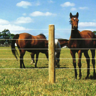 Horse Wire Fencing
