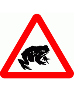 Toad Crossing Ahead