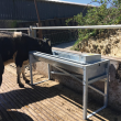 Free Standing Water Trough - Tipping