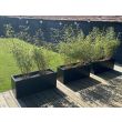 Powder Coated Rectangular Planter