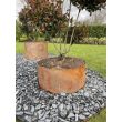 Cylindrical Rustic Planters - Bottomless