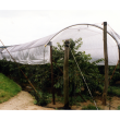 Cherry Tree Protection Netting