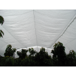 Cherry Tree Protection Netting