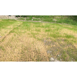 Coir Mesh