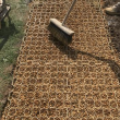 Cellular Paving