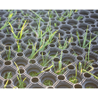 Rubber Grass Matting