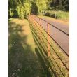 Buy Rustic Estate Fencing