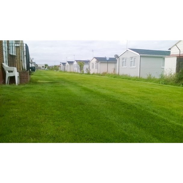 Ground Reinforcement X Grid