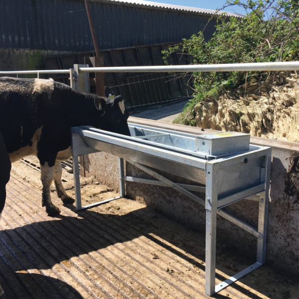Free Standing Water Trough - Tipping