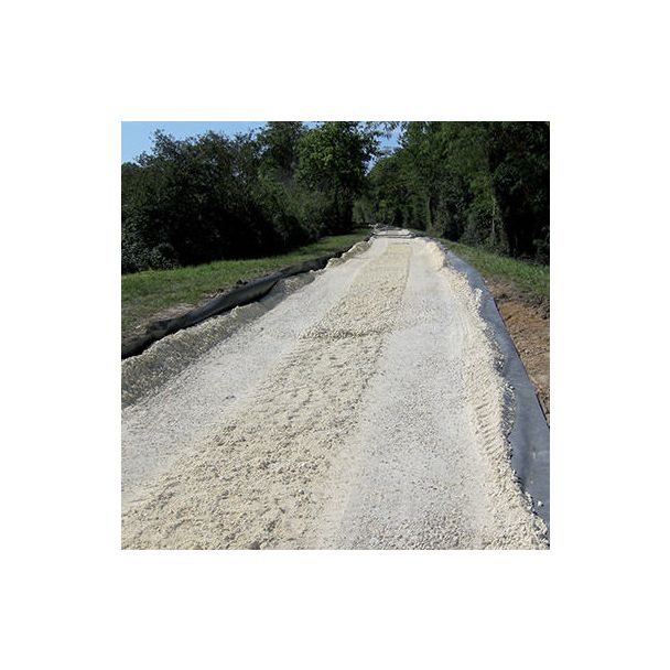 Root Protection For Path