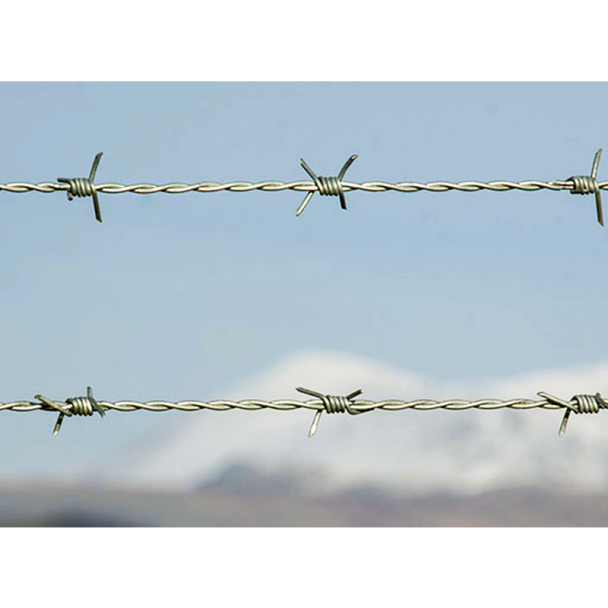 Barbed Wire Titan Knots