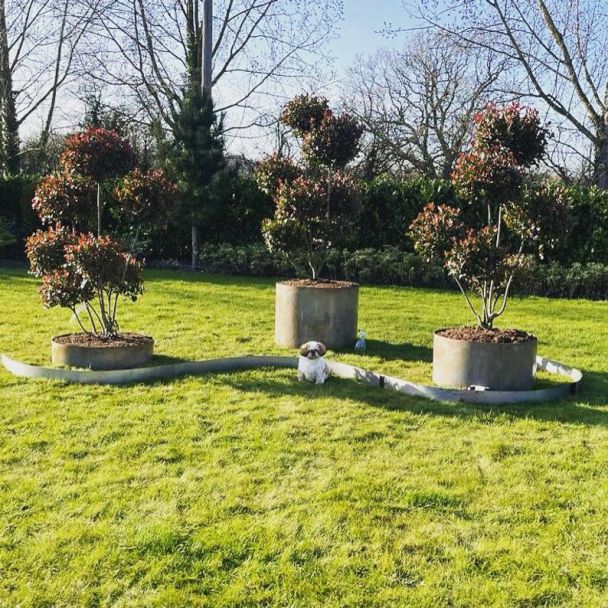 Cylindrical Rustic Planters - Bottomless