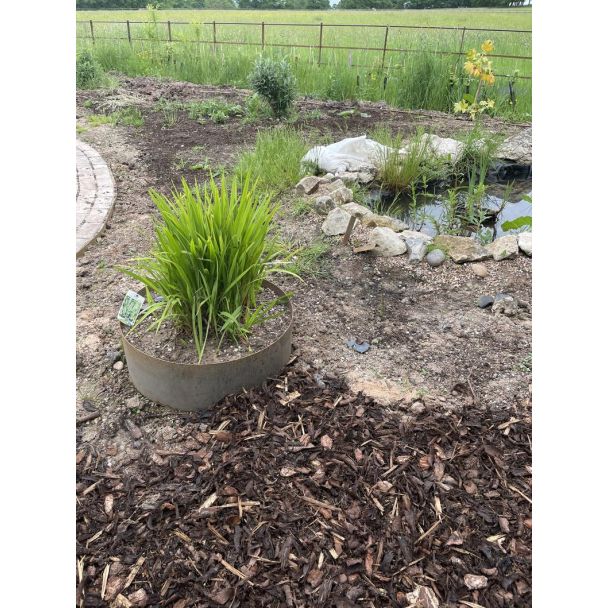 Cylindrical Rustic Planters - Bottomless