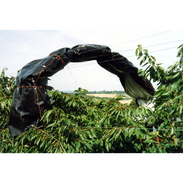 Cherry Tree Protection Netting