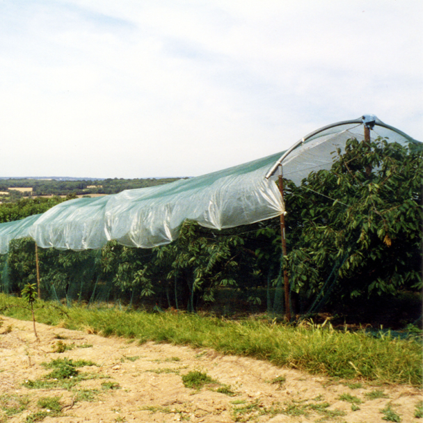 Cherry Tree Protection Netting