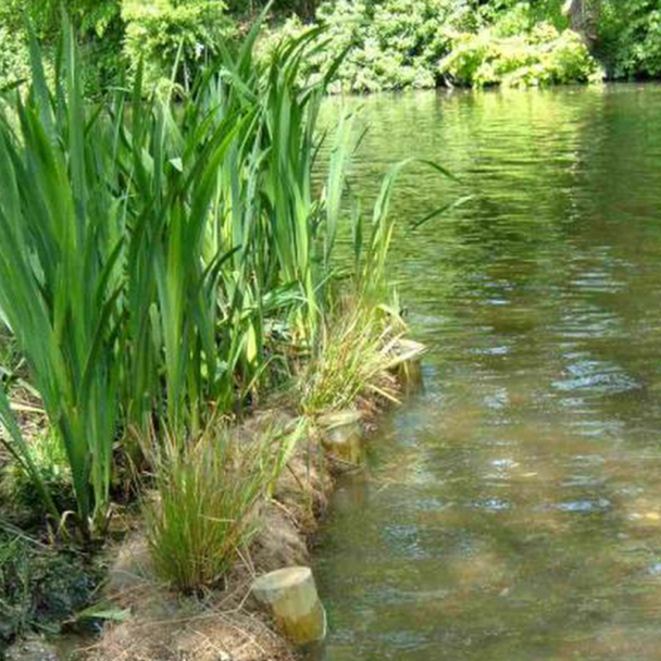 Coir Log Erosion Control