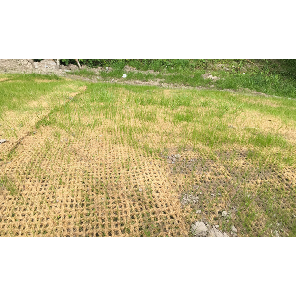 Coir Mesh