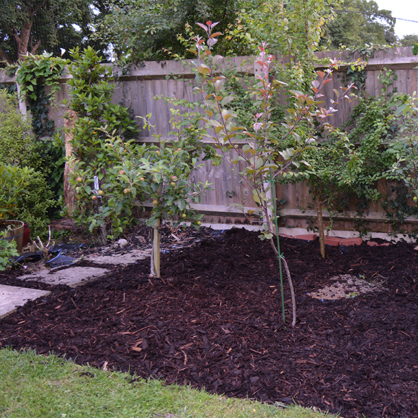 Weed Control Membrane – Woven