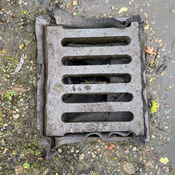 Biodegradable Drain Guard