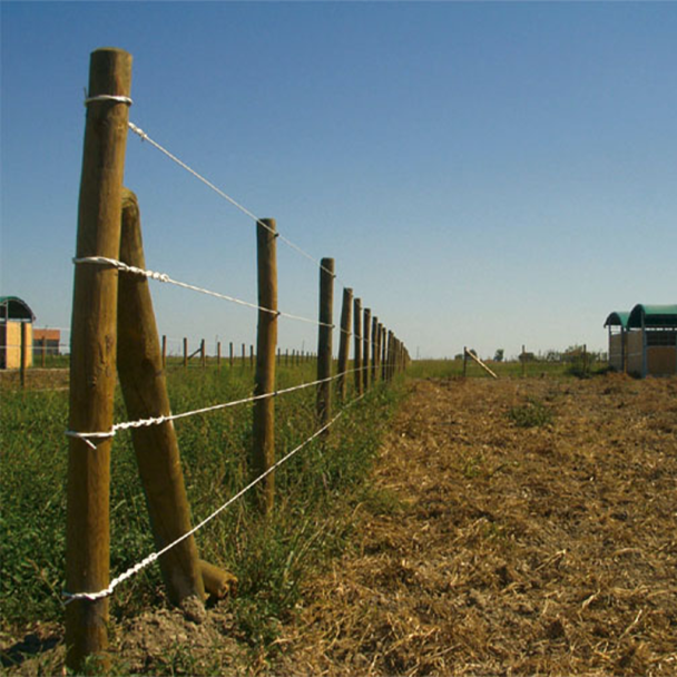 Horse Wire Fencing