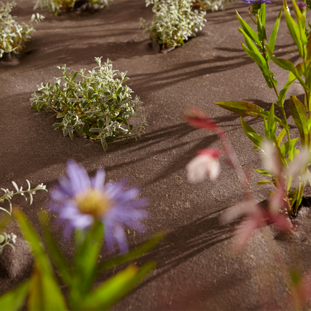 Biodegradable Weed Control Membrane