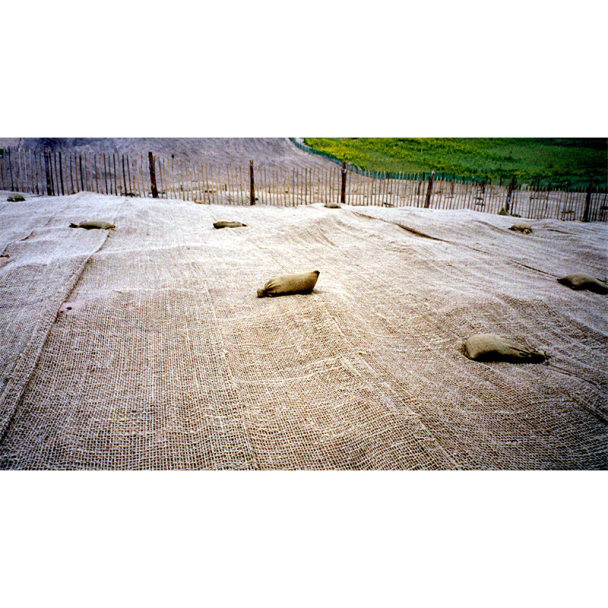 Soil Erosion Jute Mesh