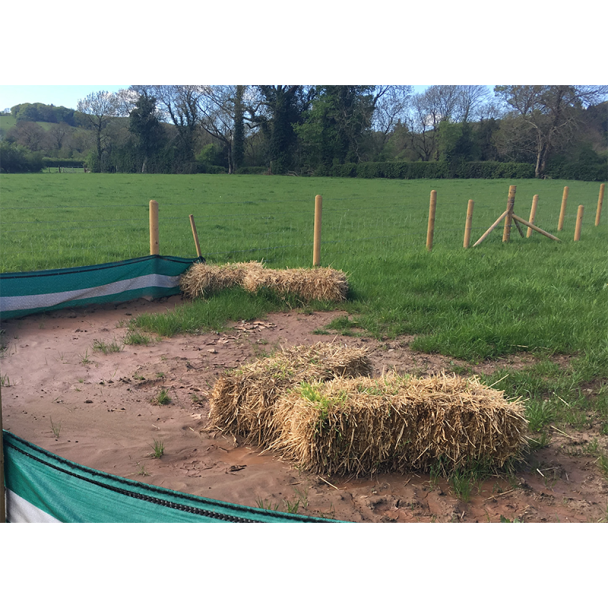 Straw Bales