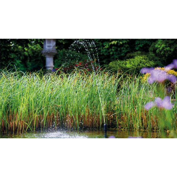 Rectangle Garden Pond - Corten Steel